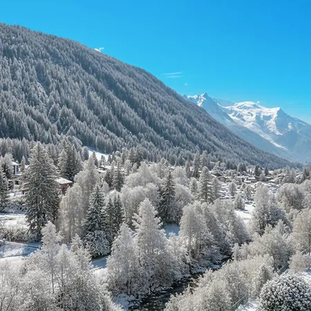 Apartman Grand Roc - Campanules 412 - Happy Chamonix